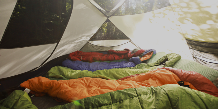 Post 5: Post Title Goes Here